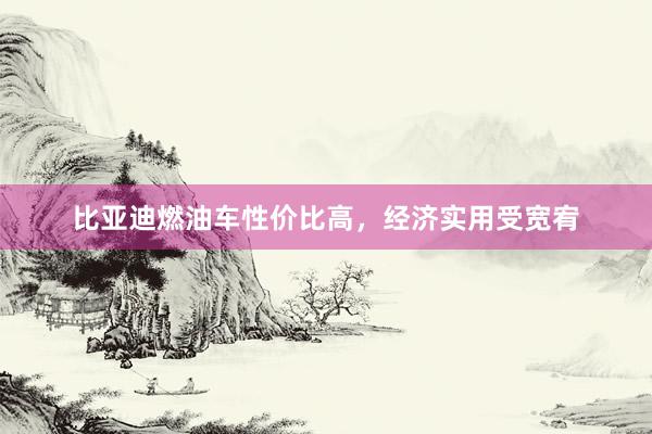 比亚迪燃油车性价比高，经济实用受宽宥